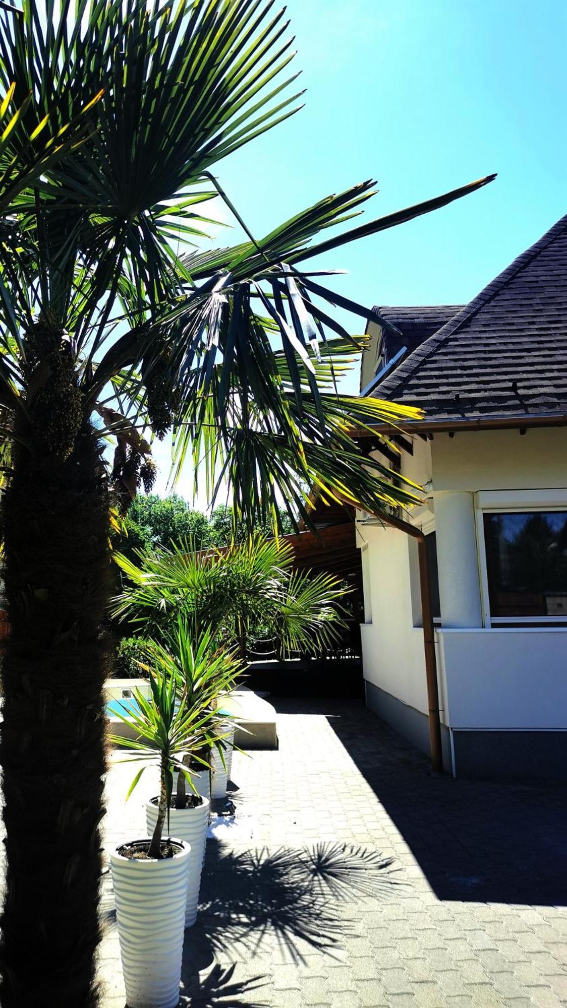 Vila House4U Balatonszárszó Exteriér fotografie